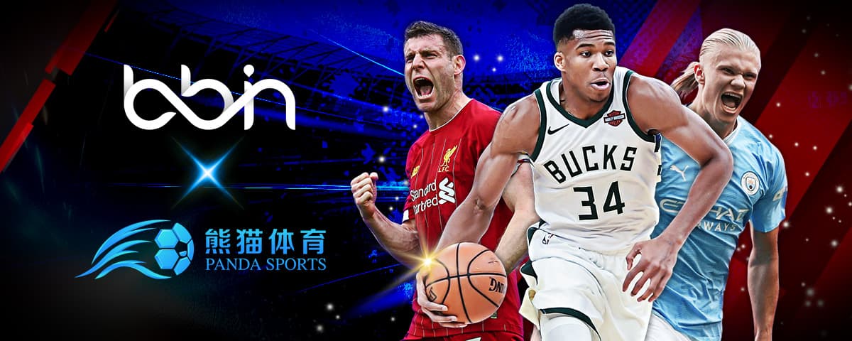 中后卫