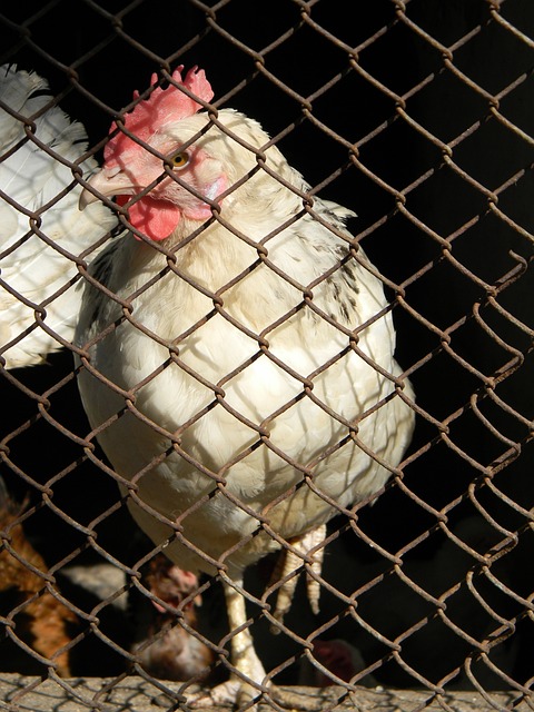 随后快速反 随后快速反